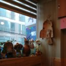 홍.낙.제 이미지