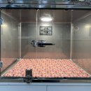 율하 다나동물병원 이미지