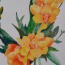 수채화로 그리는 세상 이미지