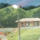 밀양돼지국밥 이미지