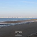 나래분식 | 영흥도 십리포 해수욕장 겨울바다, 시화 나래 휴게소 일몰까지 당일치기 코스