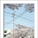 고기서 봐 이미지