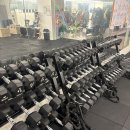 건강한 PT studio 이미지