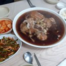 연일옻닭식당 이미지