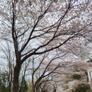 승록정약수터 이미지