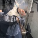 그루밍캣 압구정점 이미지