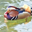 광릉수목원로 이미지