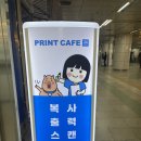 카페피유비