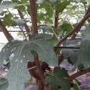 원범농장 이미지