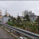 풍동농장 이미지