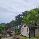 왕자와 공주 유치원 앞 | 통영 욕지도펜션 추천 애견동반 왕자와공주 펜션 코코아룸 내돈내산 후기