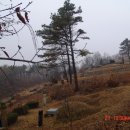 오산1리 Daum카페