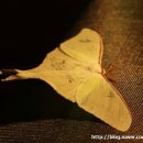 패밀리야영장 이미지