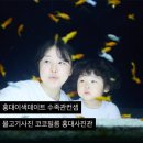 4살아이와 함께했던 수족관컨셉 물고기와 사진촬영 코코필름 홍대사진관 이용후기
