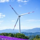 박봉기 | 거창 감악산 아스타국화 축제 풍력단지 별바람언덕 기본정보