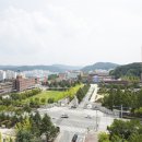 대전과학기술대학교 이미지