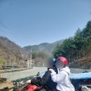 단양 당일치기 코스/비용(산악오토바이ATVl패러글라이딩l만천하스카이워크)
