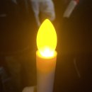 🕯️ 지난 10월 대규모 촛불 집회에 참석한 우동이들 🕯️ 이미지