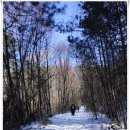 아라리쉼터 이미지