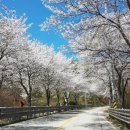 옥정호로 이미지