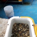 은하펜션 이미지