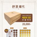 복호두노원하계점