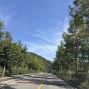 율곡3 | [경기/포천] 모든게 깔끔했던 포천 율곡캠핑장장(E3번 이용후기)