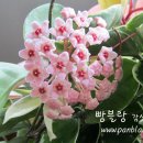 느린 달팽이 이미지