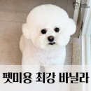 신안동물병원 이미지