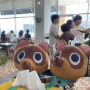 랑데자뷰시흥 | 오이도 데이트 제주도 감성 카페 추천 '랑데자뷰 시흥거북섬점' 내돈내산 후기