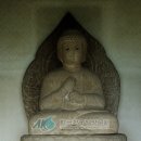 고대1121 이미지