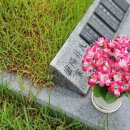 전진상약국 이미지