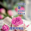 세상은 기다려주지 않는다 이미지