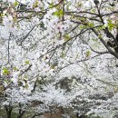 서원추어탕 이미지