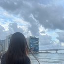 일공일사 이미지