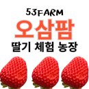토경팜 | 우리 가족 딸기루틴, 남양주 &#39;오삼팜(53Farm)&#39; 딸기체험농장&amp;아이스크림 만들기