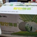 선이네일 | 선이네멜론 백자 멜론 6시내고향 소개된 함안 멜론 후기