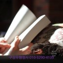 중앙행정 행정사 사무소 이미지