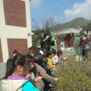 양지초병설유치원 이미지