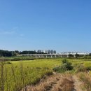 대반1리마을회관 이미지