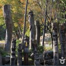 풍일로(풍천면) 이미지