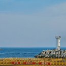 시무룩컴퍼니 | 속초 아이랑 바다낚시 올데이 속초패스 장사항낚시체험공원