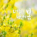 예쁜하루