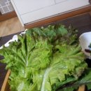 동산돌솥밥 이미지