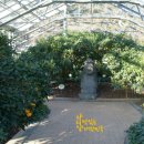 감귤박물관 이미지