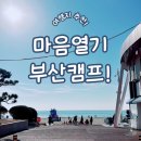 신항고려태권도장 이미지