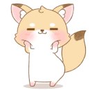 콩뿌각 이미지