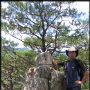 어유곡교 | 홍천, 팔봉산관광지 ... 2010.07.04 (일)