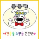 네추럴펫