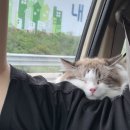 블루 | 평택 가족여행, 남자친구 증평으로 이사온 일상(22.08.01-11)